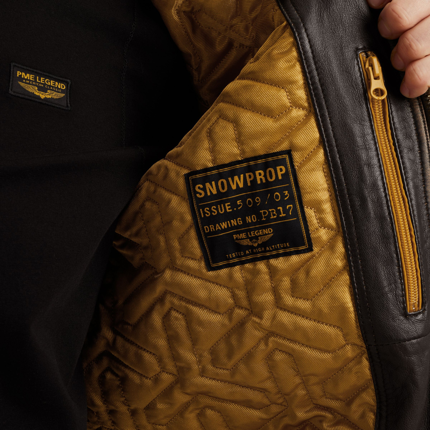 PLJ2509703-9127_model_7