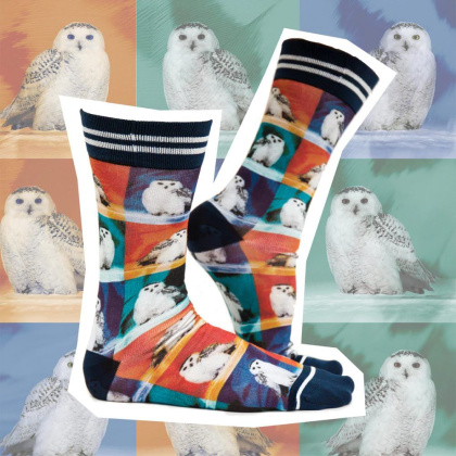 Носки с принтом Sock my collage of owls